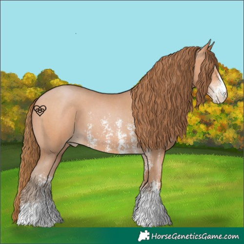 Horse Color:Bay Pearl Sabino 