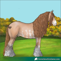 Horse Color:Bay Pearl Sabino 