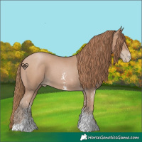 Horse Color:Black Pearl Sabino 