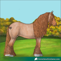 Horse Color:Red Roan 