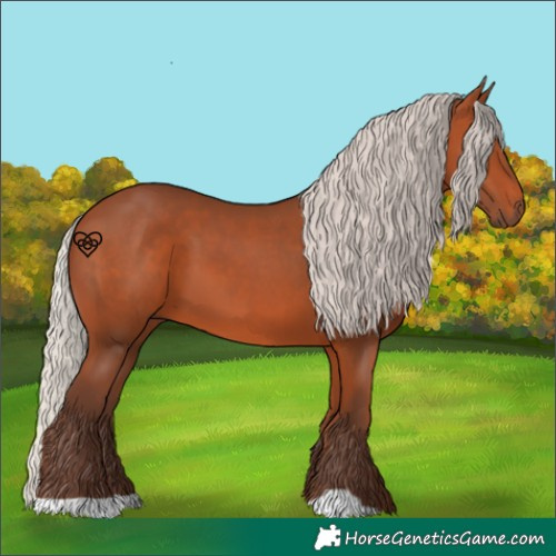 Horse Color:Silver Bay 