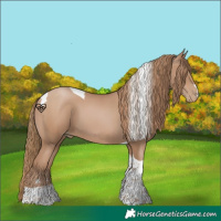 Horse Color:Black Pearl Tobiano 