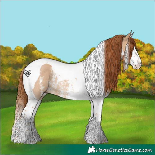 Horse Color:Red Dun Sabino Splash Tobiano Rabicano 