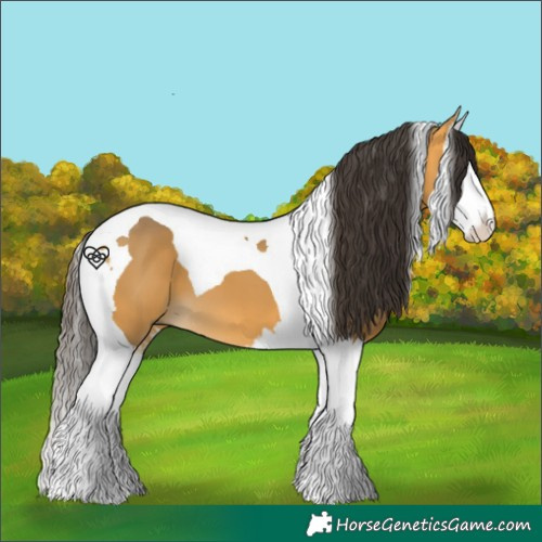Horse Color:Buckskin Splash Tobiano 