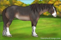 Horse Color:Liver Red Roan Splash 