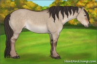 Horse Color:Liver Red Dun Roan 