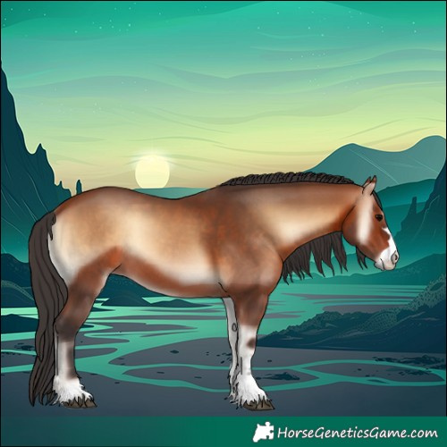 Horse Color:Bay Onyx Rabicano 
