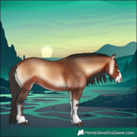 Horse Color:Bay Onyx Rabicano 