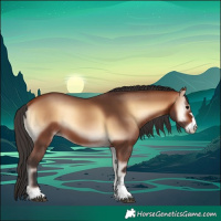 Horse Color:Bay Onyx Rabicano 