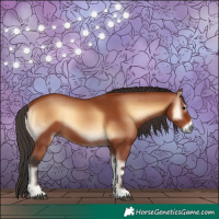 Horse Color:Bay Onyx 