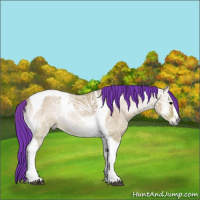 Horse Color:Watercolor Bay Ice Onyx Tobiano Rabicano 