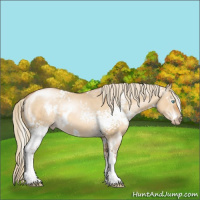 Horse Color:Gray White Spotted Palomino Pearl Dun 