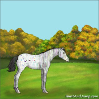 Horse Color:Plaid  Brown Ice 