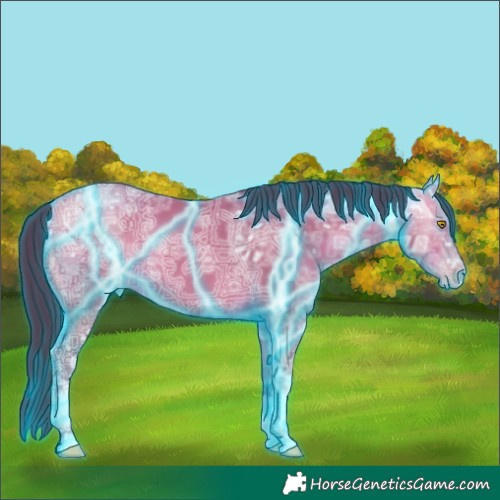 Horse Color:Thunderstruck Amber Champagne Ice 