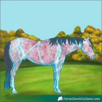 Horse Color:Thunderstruck Amber Champagne Ice 