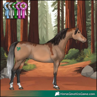 Horse Color:Bay Dun Tobiano 