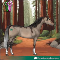 Horse Color:Brown Dun Tobiano