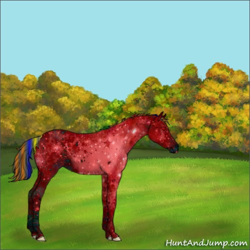 Horse Color:ERROR: UNKNOWN ANOMALY
