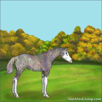 Horse Color:Nacre Silver Blue Onyx Ice Splash