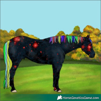 Horse Color:ERROR: UNKNOWN ANOMALY
