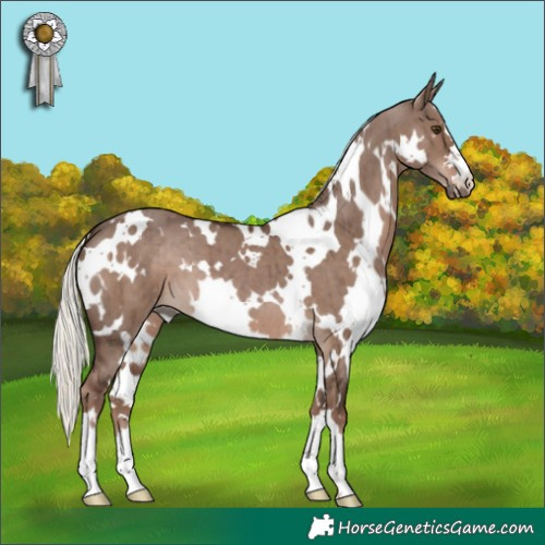 Horse Color:White Spotted Liver Red Dun Mushroom Brindle 