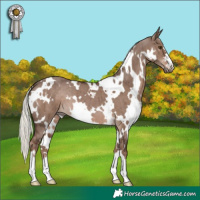 Horse Color:White Spotted Liver Red Dun Mushroom Brindle 