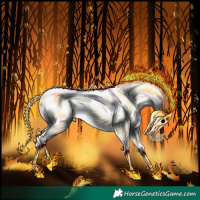 Horse Color:White Spotted Sable Champagne Chinchilla Pearl Onyx Rabicano 
