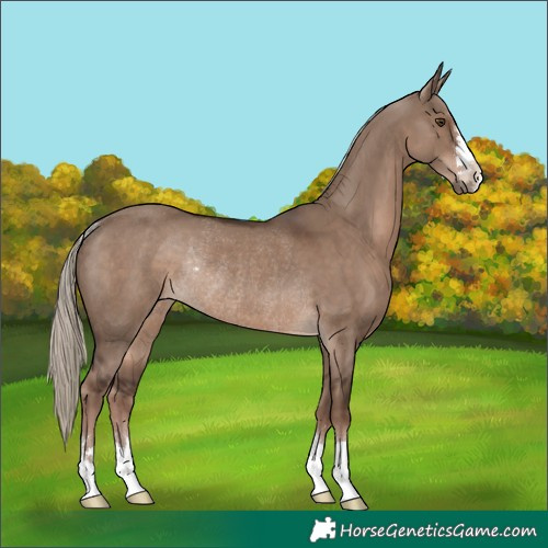 Horse Color:Liver Red Dun Mushroom Rabicano
