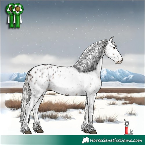 Horse Color:White Spotted Silver Brown Sabino Appaloosa Rabicano 