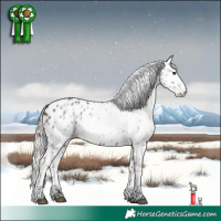 Horse Color:White Spotted Silver Brown Sabino Leopard Rabicano 
