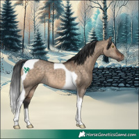 Horse Color:Bay Dun Tobiano 