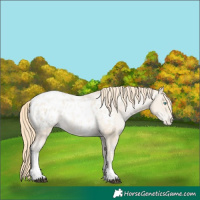 Horse Color:Smoky Black Snowdrop Tobiano Blanket 