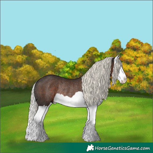 Horse Color:Liver Chestnut Mushroom Splash Rabicano 