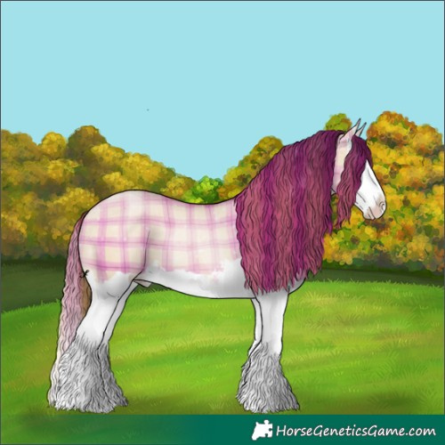 Horse Color:Plaid  Bay Pearl Dun Splash 