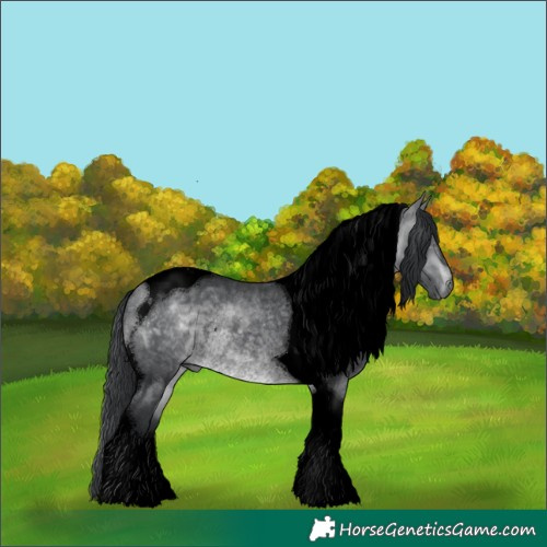 Horse Color:Void Brown Chinchilla Tobiano Rabicano 