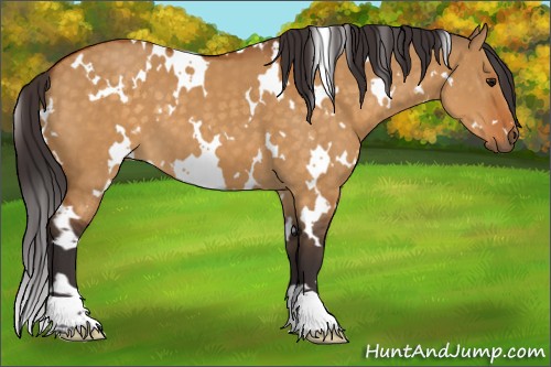 Horse Color:White Spotted Buckskin Dun 