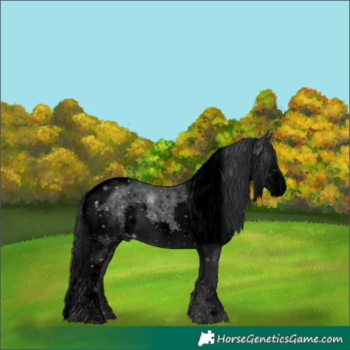 Horse Color:Void Brown Chinchilla Splash Tobiano 