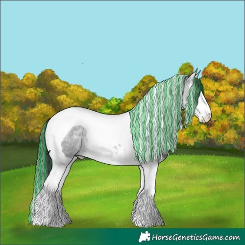 Horse Color:Painted Bay Chinchilla Roan Splash Tobiano Rabicano 