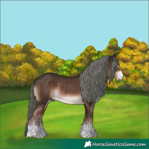 Horse Color:Liver Chestnut Mushroom Rabicano 