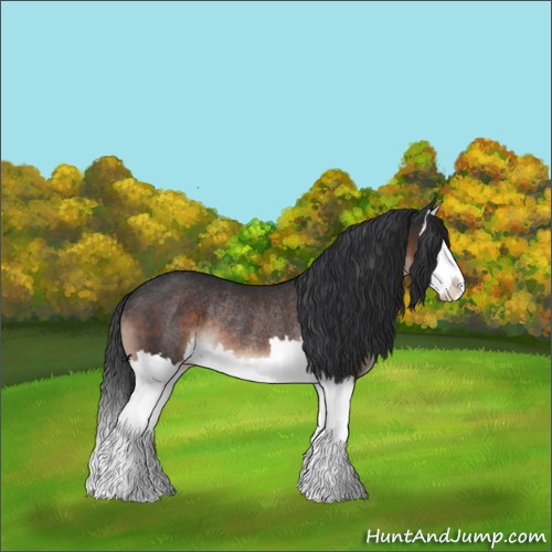 Horse Color:Brown Mushroom Splash Rabicano 