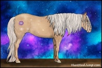 Horse Color:Silver Classic Champagne Roan 
