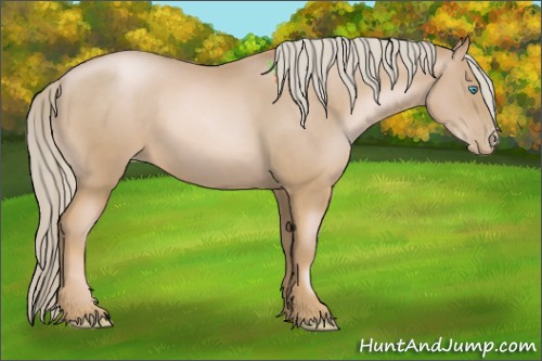 Horse Color:Chocolate Palomino Pearl