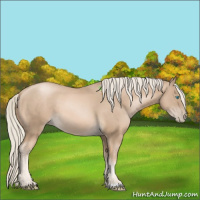 Horse Color:Chocolate Palomino Pearl 