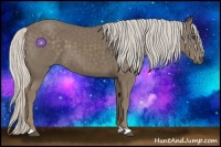 Horse Color:Silver Smoky Black 