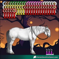 Horse Color:White Spotted Black Frame