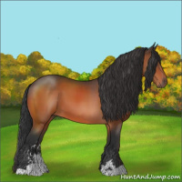 Horse Color:Brown Sabino