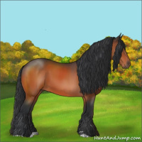 Horse Color:Brown Sabino