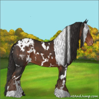 Horse Color:White Spotted Liver Chestnut Blanket 