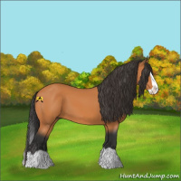 Horse Color:Bay Splash