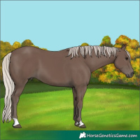 Horse Color:Silver Black 